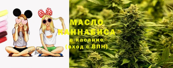 молекула духа Абинск