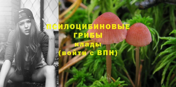 мяу мяу кристалл Алзамай