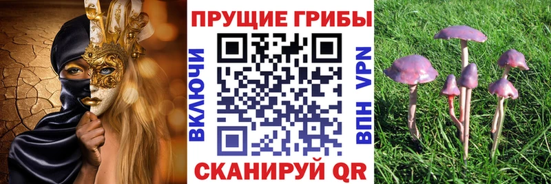 Галлюциногенные грибы Magic Shrooms  Щёлково 